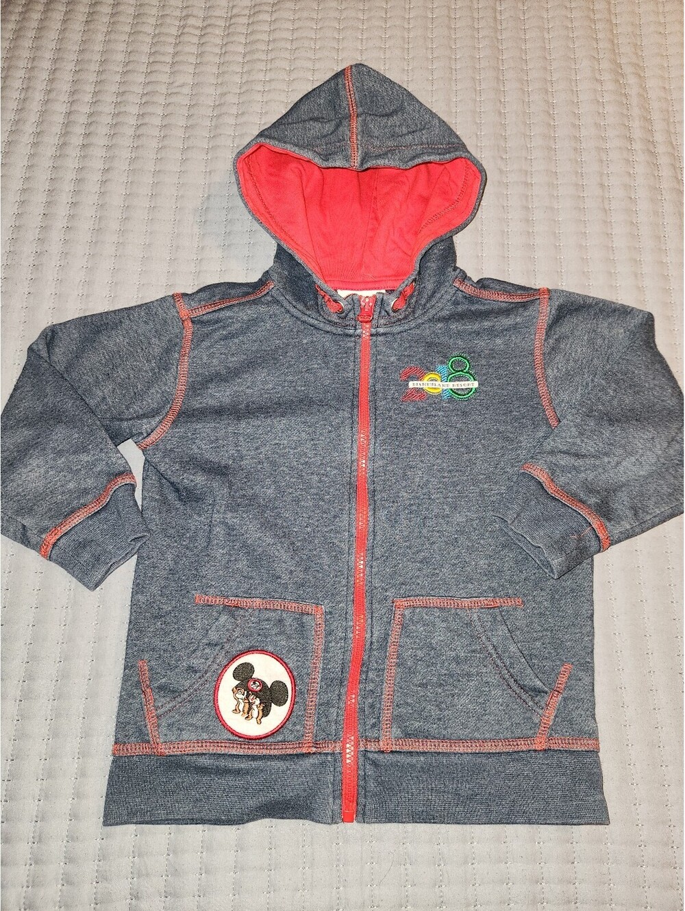 2018 Disneyland Resort Mickey Goofy, Donald, Chip & Dale zip-up hoodie